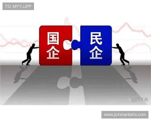 万博集团的归属性质:国企身份的优势与私企的灵活性