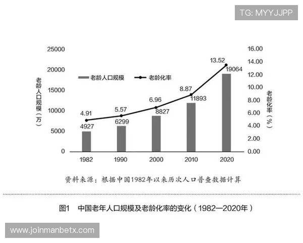 万博集团公司应对经济变化的风险管理策略与应急措施研究